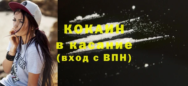 прущие грибы Рославль