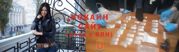 прущие грибы Рославль