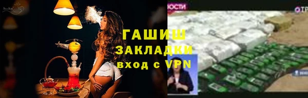 прущие грибы Рославль