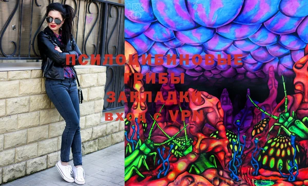 спиды Россошь