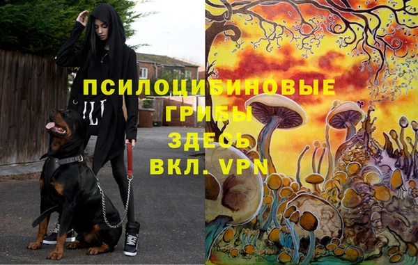 твердый Протвино