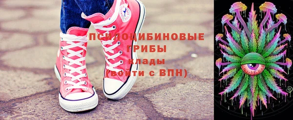 твердый Протвино