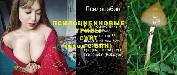 спиды Россошь