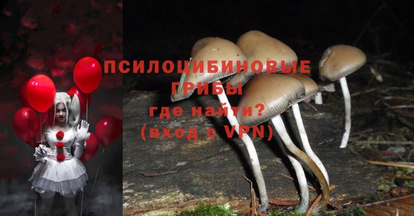 спиды Россошь