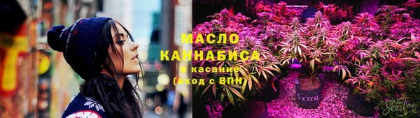 твердый Протвино