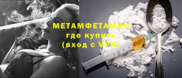 прущие грибы Рославль