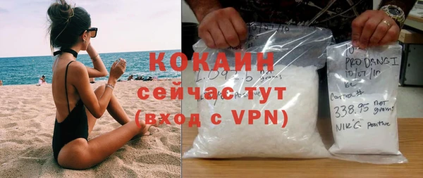 прущие грибы Рославль