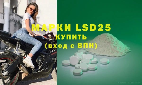 мяу мяу мука Пролетарск
