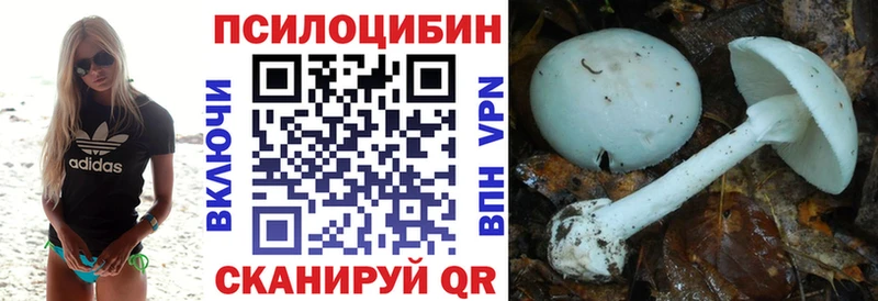 Купить  Касимов  Псилоцибиновые грибы прущие грибы 